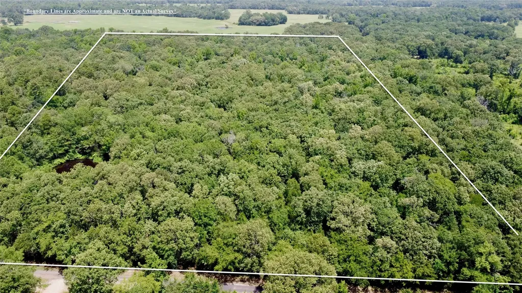Tract 3 Cr 44400 Powderly TX 75473