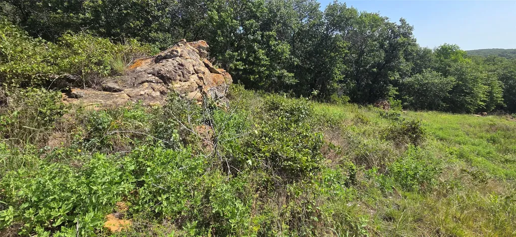 Tbd Nash Road Jacksboro TX 76458