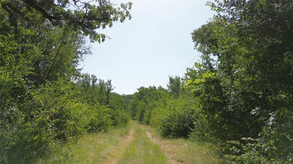 Tbd Nash Road Jacksboro TX 76458
