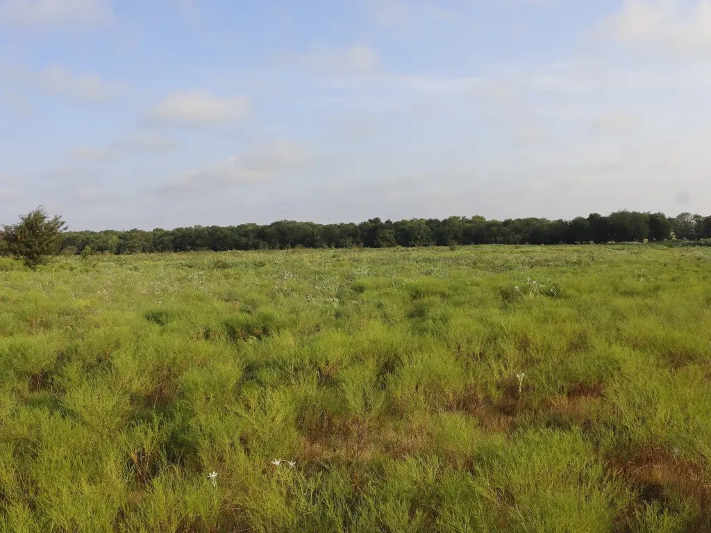 Tbd Lot 1 Alsdorf Road Ennis TX 75119