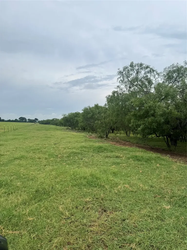 2110 County Road 362 (Land) Desdemona TX 76445