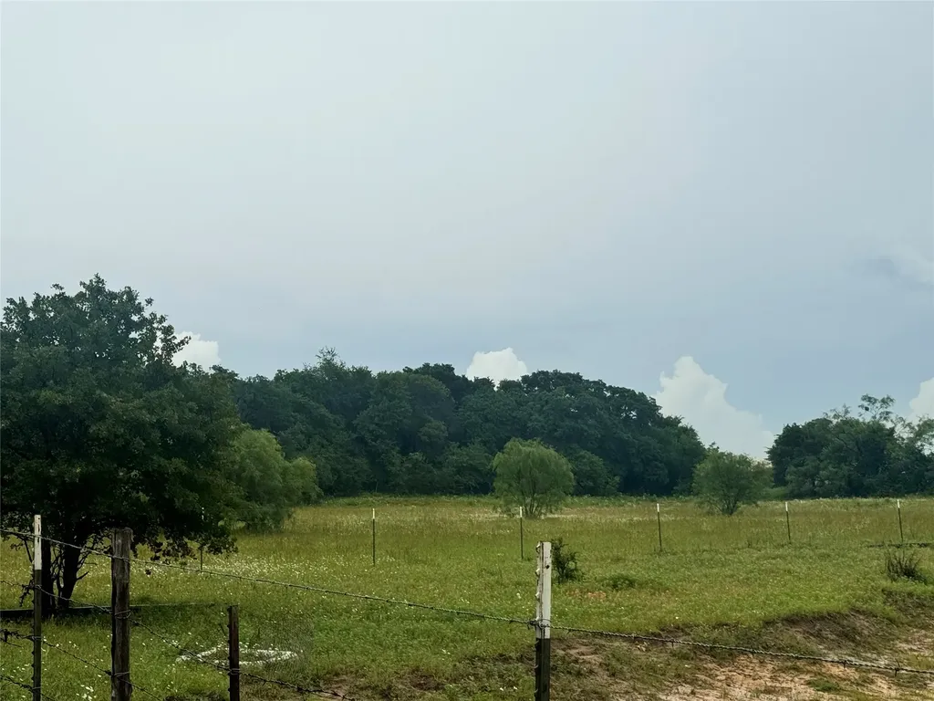 2110 County Road 362 (Land) Desdemona TX 76445