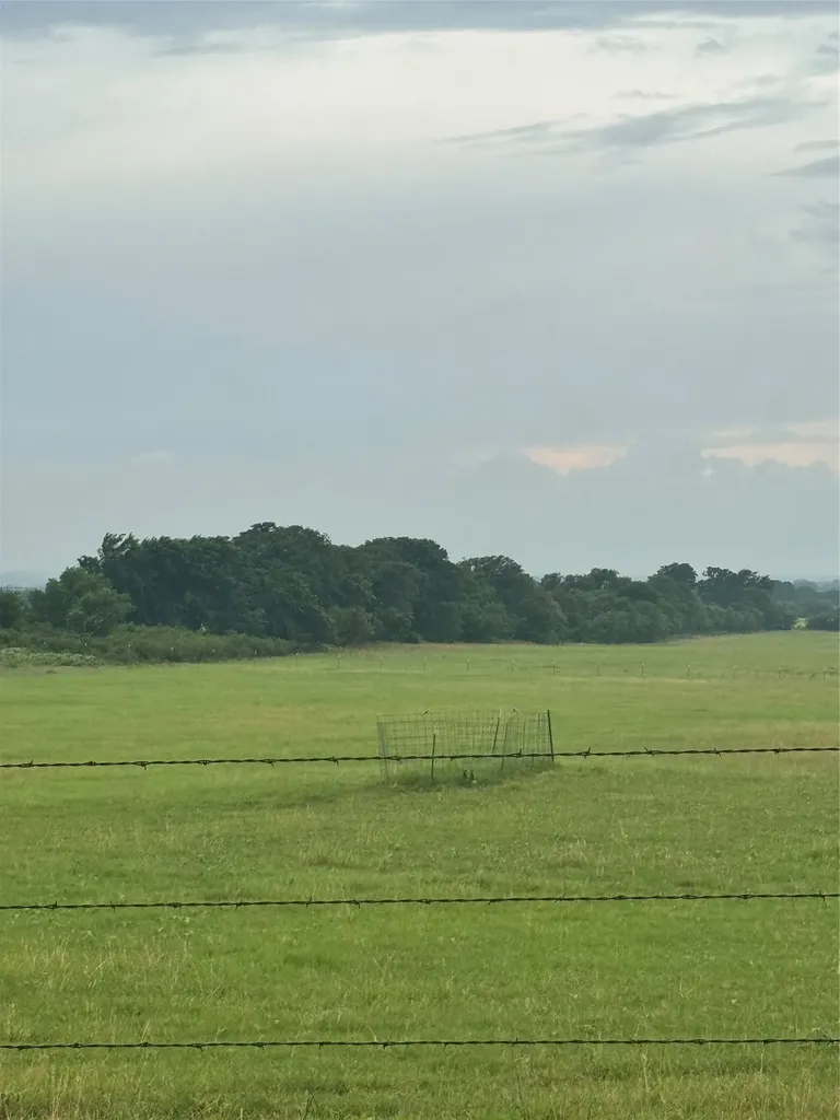2110 County Road 362 (Land) Desdemona TX 76445