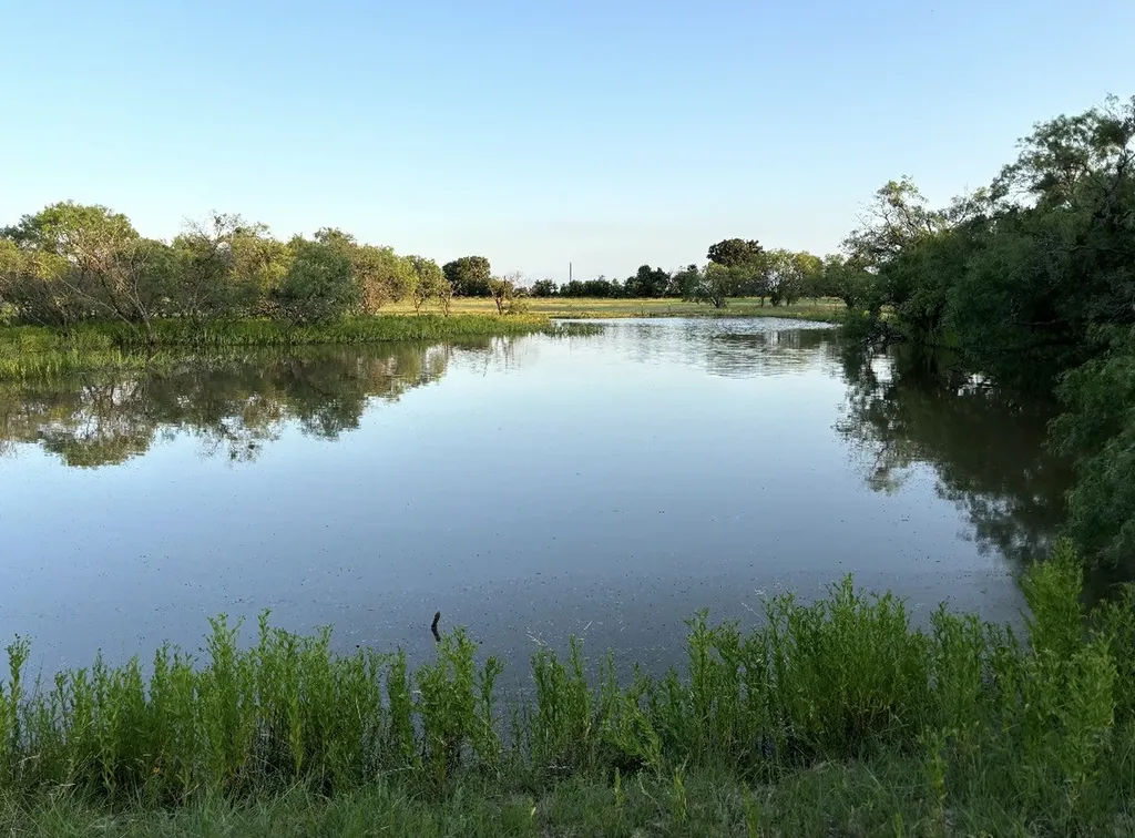 2110 County Road 362 (Land) Desdemona TX 76445