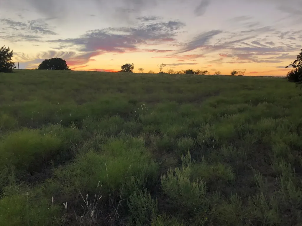 2110 County Road 362 (Land) Desdemona TX 76445
