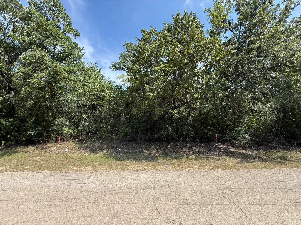 0 Brokenbow Drive Mabank TX 75156