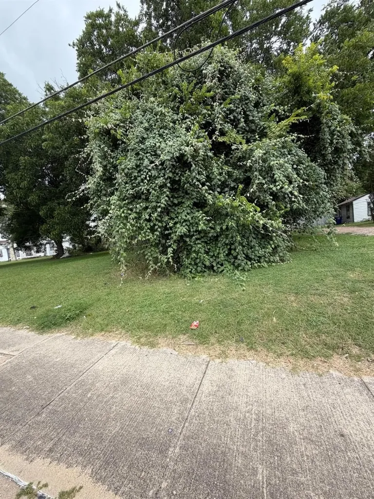 2523 E Ledbetter Drive Dallas TX 75216