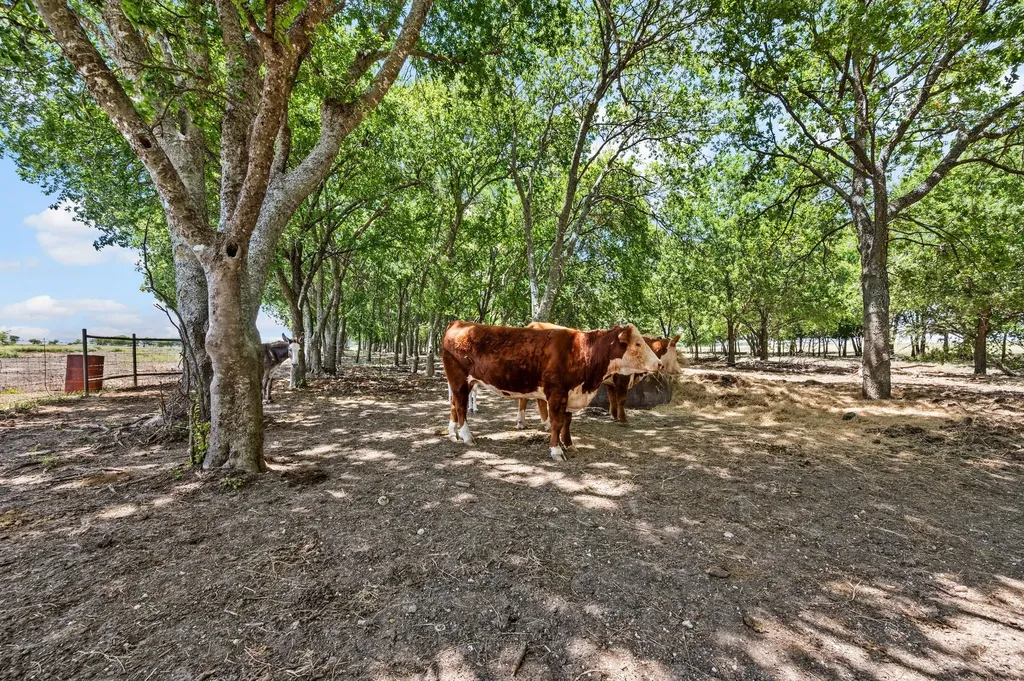 1216 West Road Waxahachie TX 75165
