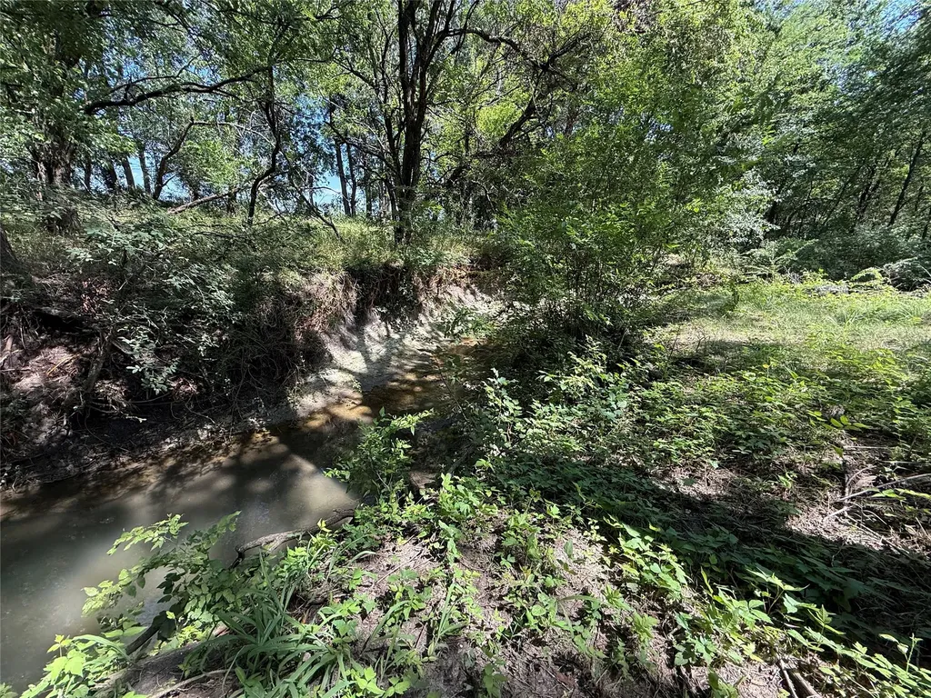 288 County Road 4430 Whitewright TX 75491