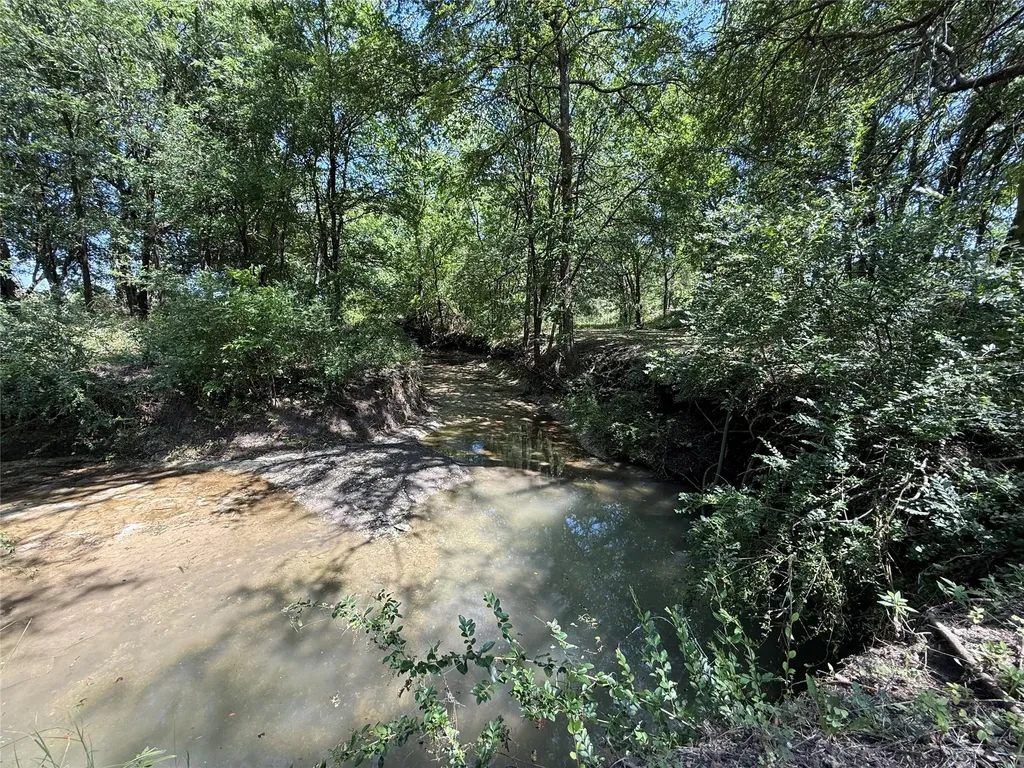 288 County Road 4430 Whitewright TX 75491