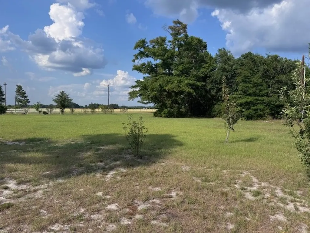 10038 County Road 313 Tyler TX 75706
