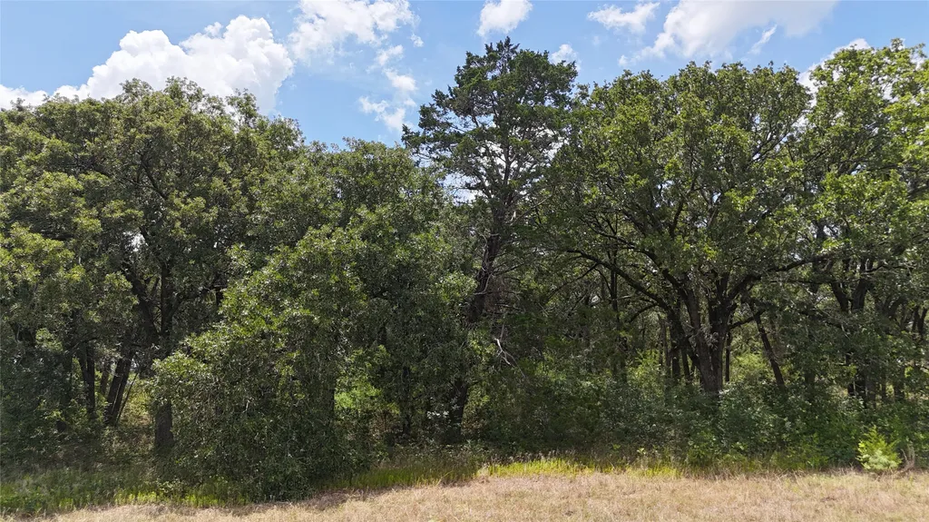 Lot 7 NE County Road 3040 Kerens TX 75144