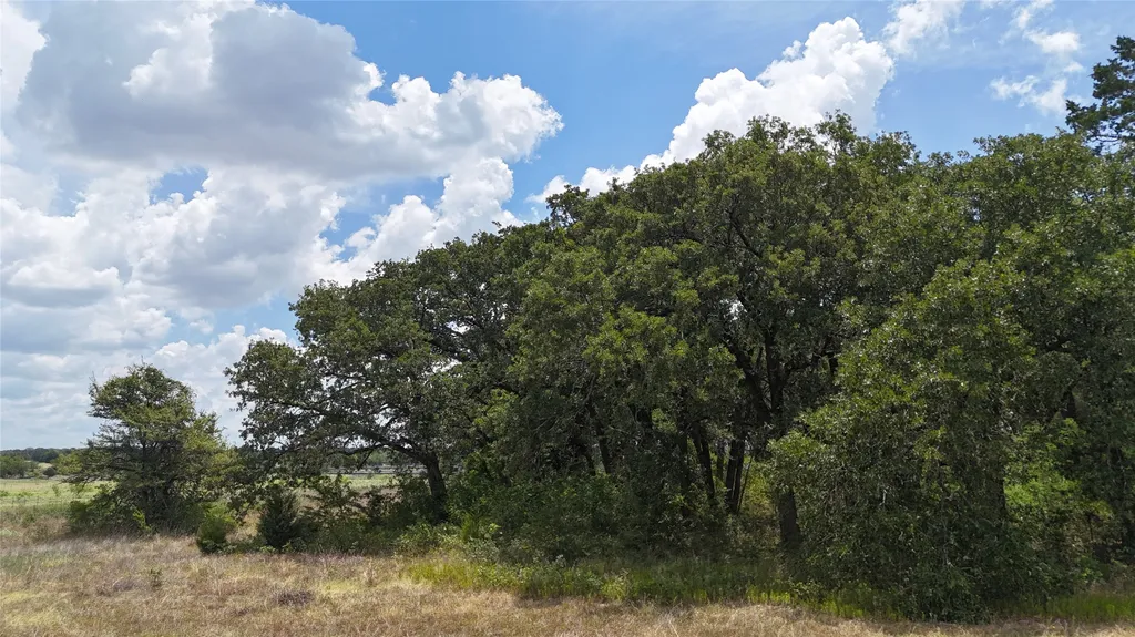 Lot 7 NE County Road 3040 Kerens TX 75144