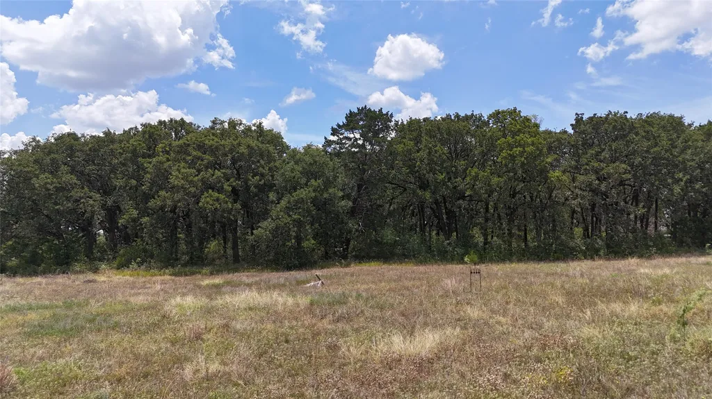 Lot 7 NE County Road 3040 Kerens TX 75144