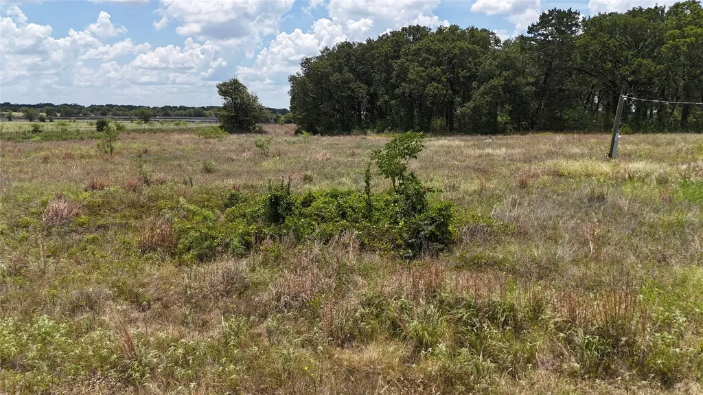 Lot 7 NE County Road 3040 Kerens TX 75144
