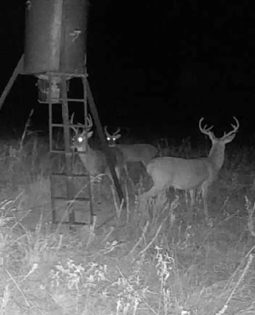 1510 Fm 2649 Lone Oak TX 75453