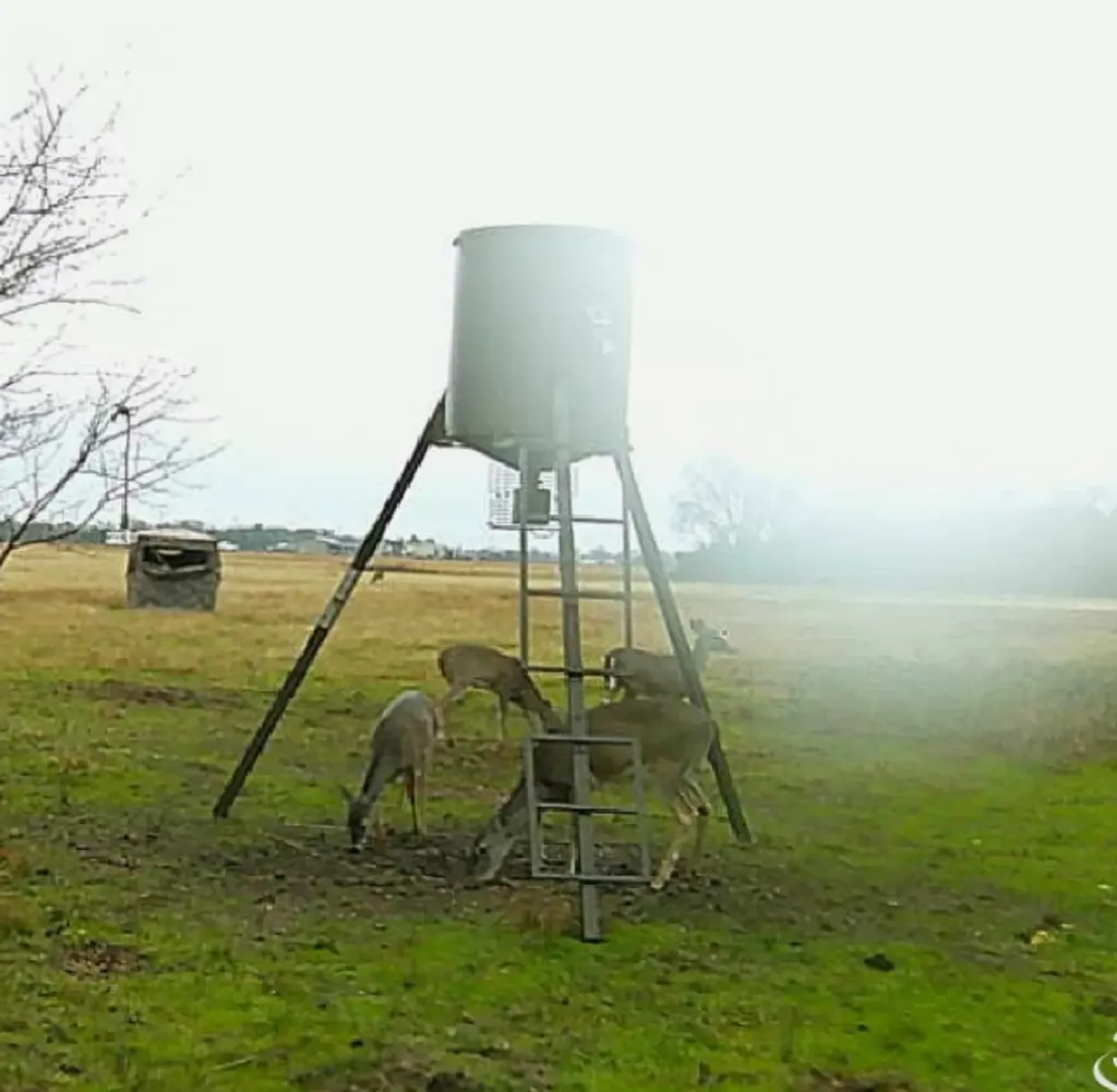 1510 Fm 2649 Lone Oak TX 75453