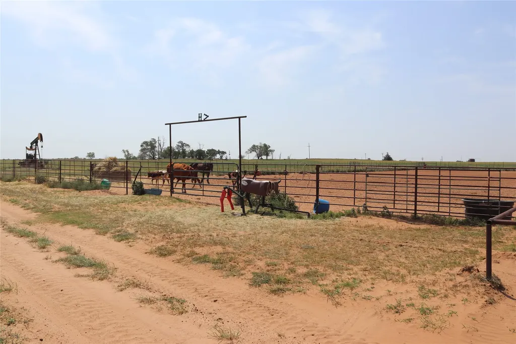 9315 Cr 106 W Vernon TX 76384