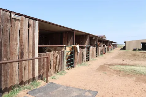 9315 Cr 106 W Vernon TX 76384