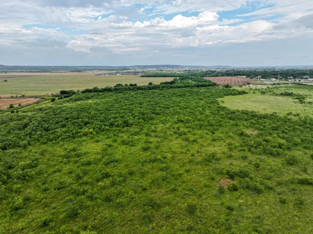 Tbd Lot 23 Cr 161 Tuscola TX 79562