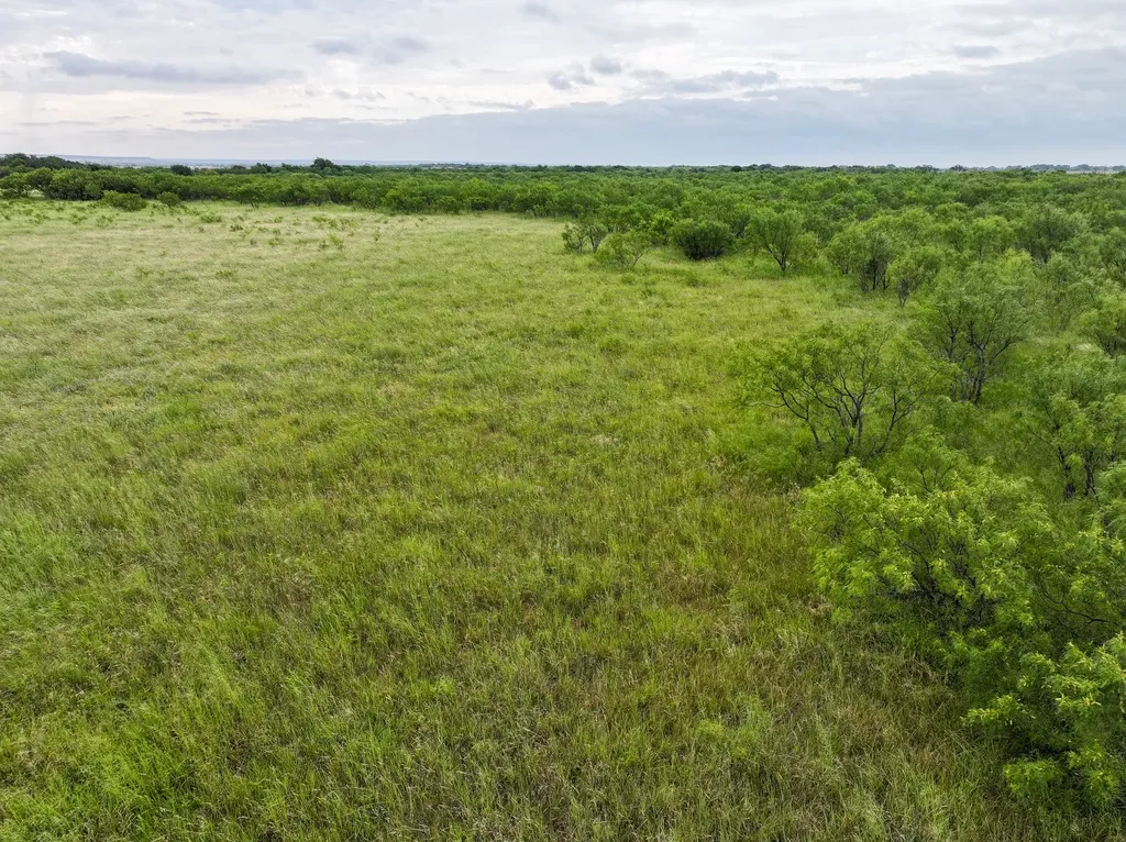Tbd Lot 23 Cr 161 Tuscola TX 79562