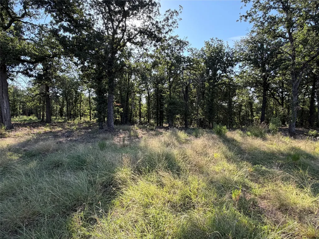 Tbd Fm 56 Morgan TX 76671