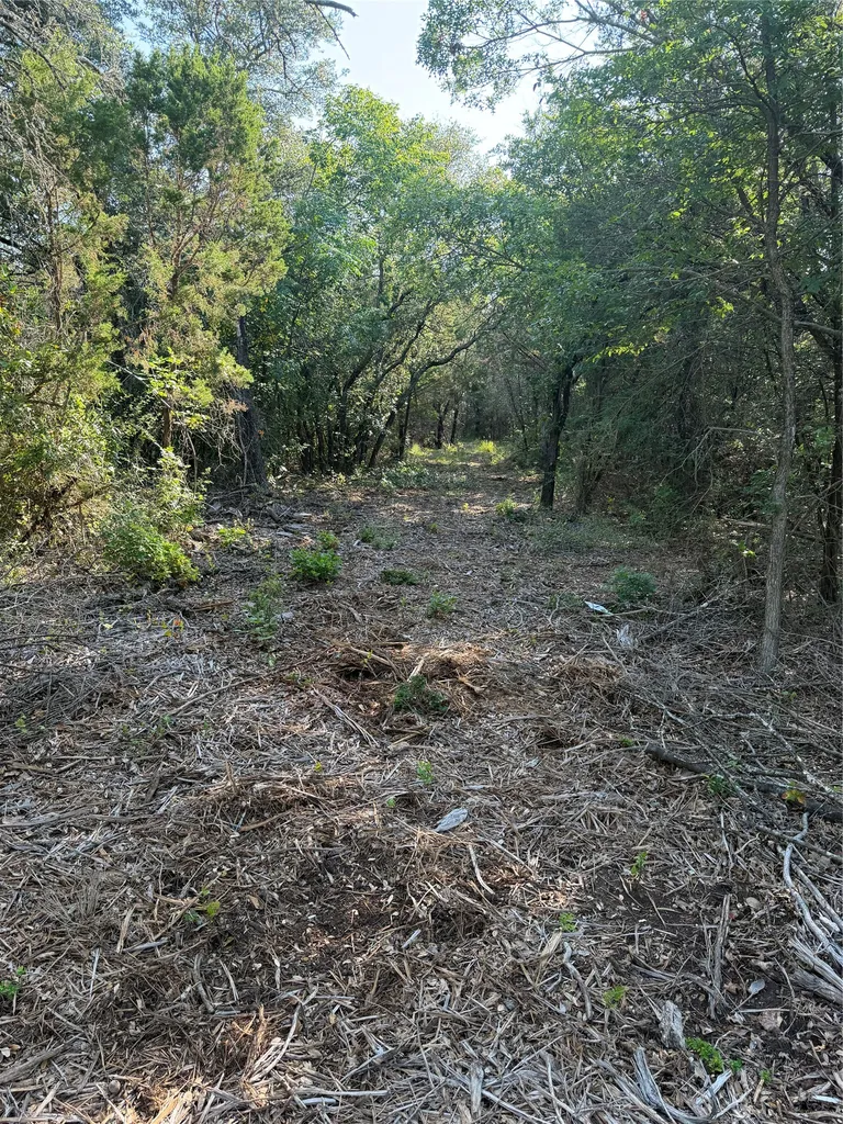 Tbd Fm 56 Morgan TX 76671