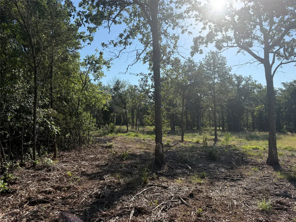 Tbd Fm 56 Morgan TX 76671