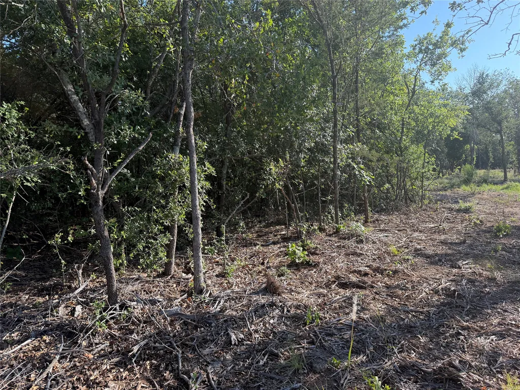 Tbd Fm 56 Morgan TX 76671