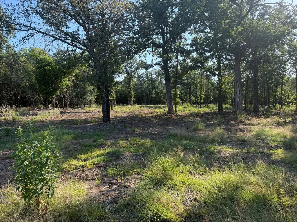 Tbd Fm 56 Morgan TX 76671