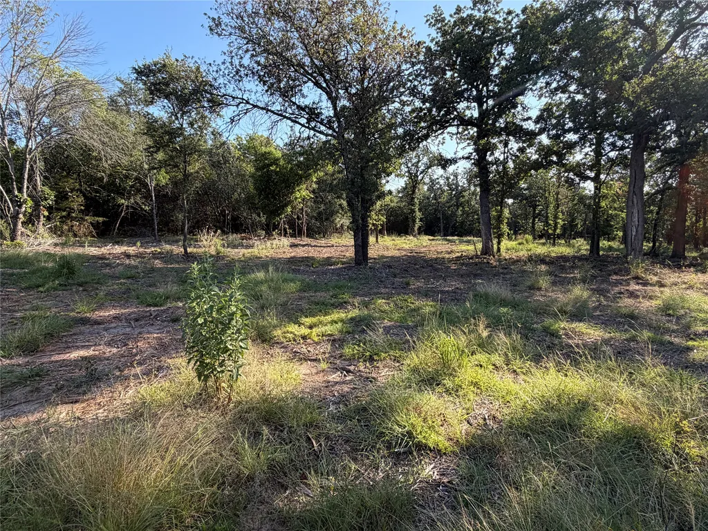 Tbd Fm 56 Morgan TX 76671
