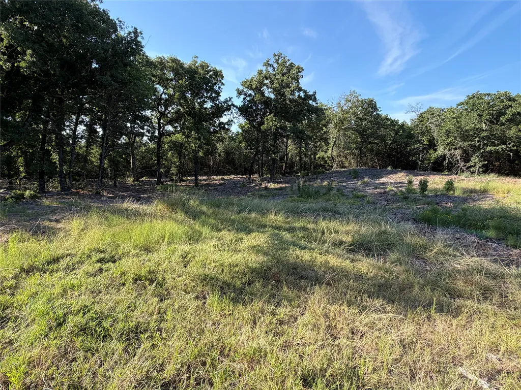 Tbd Fm 56 Morgan TX 76671