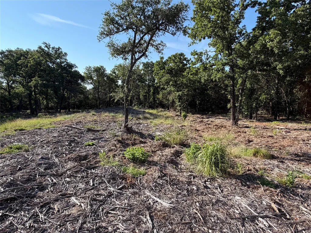 Tbd Fm 56 Morgan TX 76671
