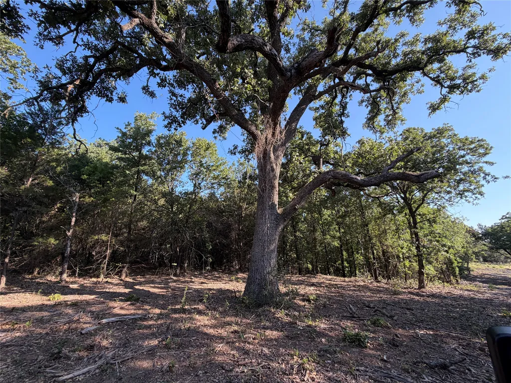 Tbd Fm 56 Morgan TX 76671