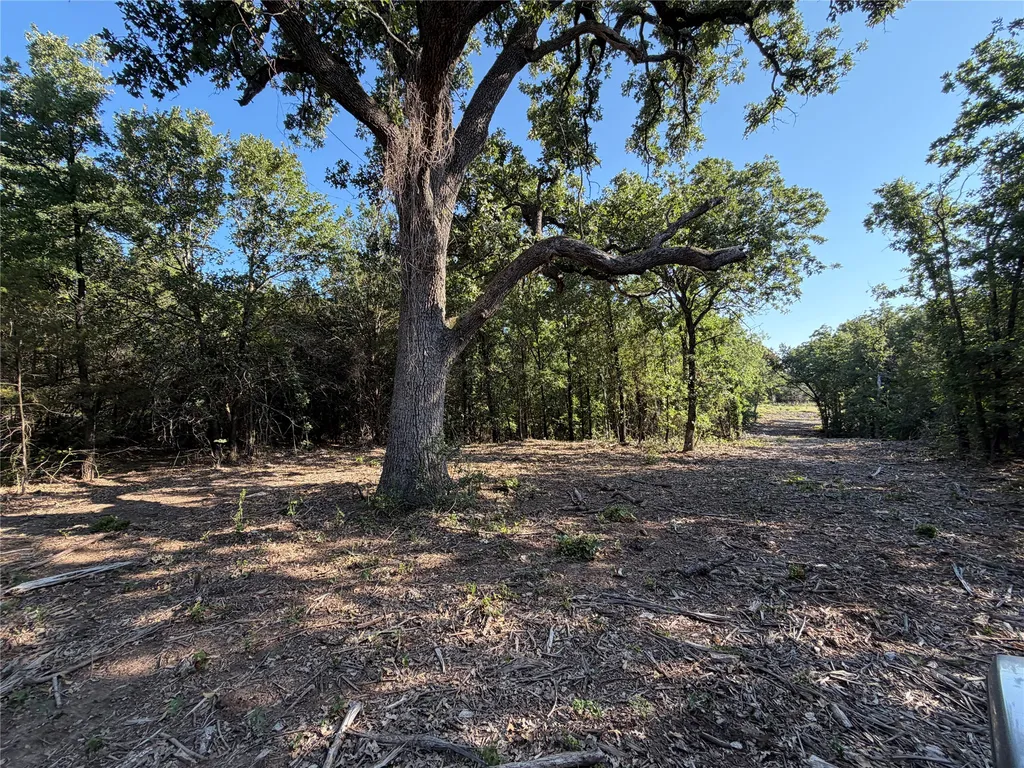 Tbd Fm 56 Morgan TX 76671