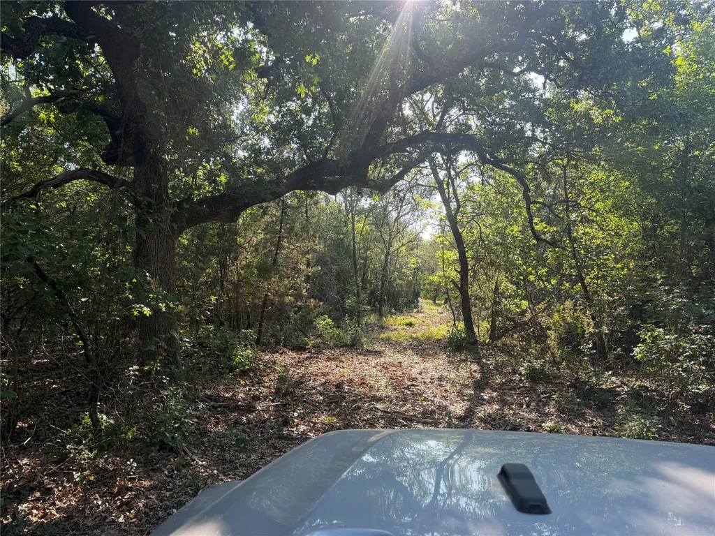Tbd Fm 56 Morgan TX 76671