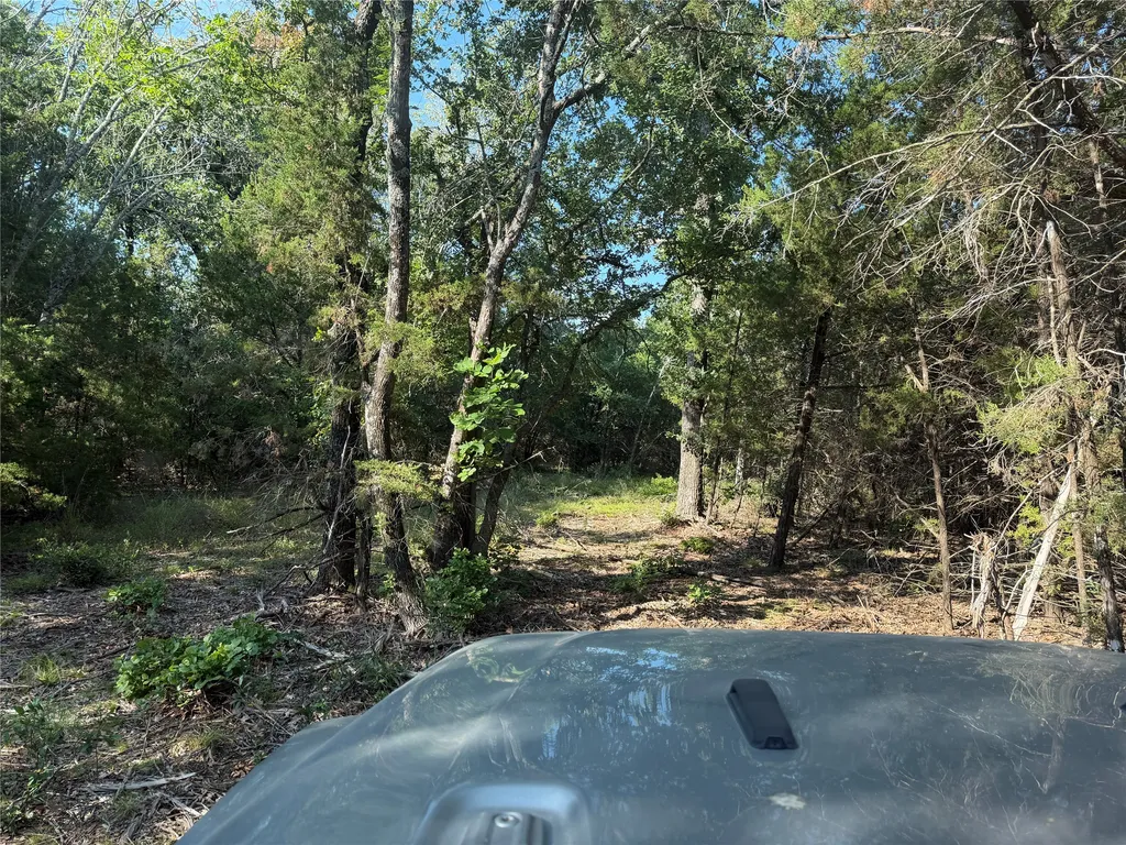 Tbd Fm 56 Morgan TX 76671
