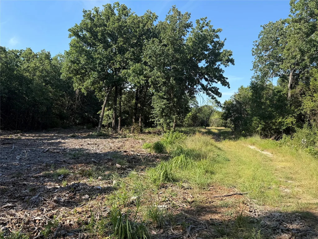 Tbd Fm 56 Morgan TX 76671
