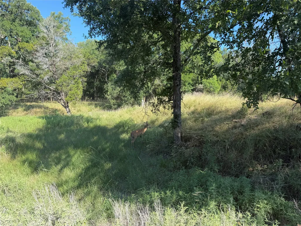 Tbd Fm 56 Morgan TX 76671