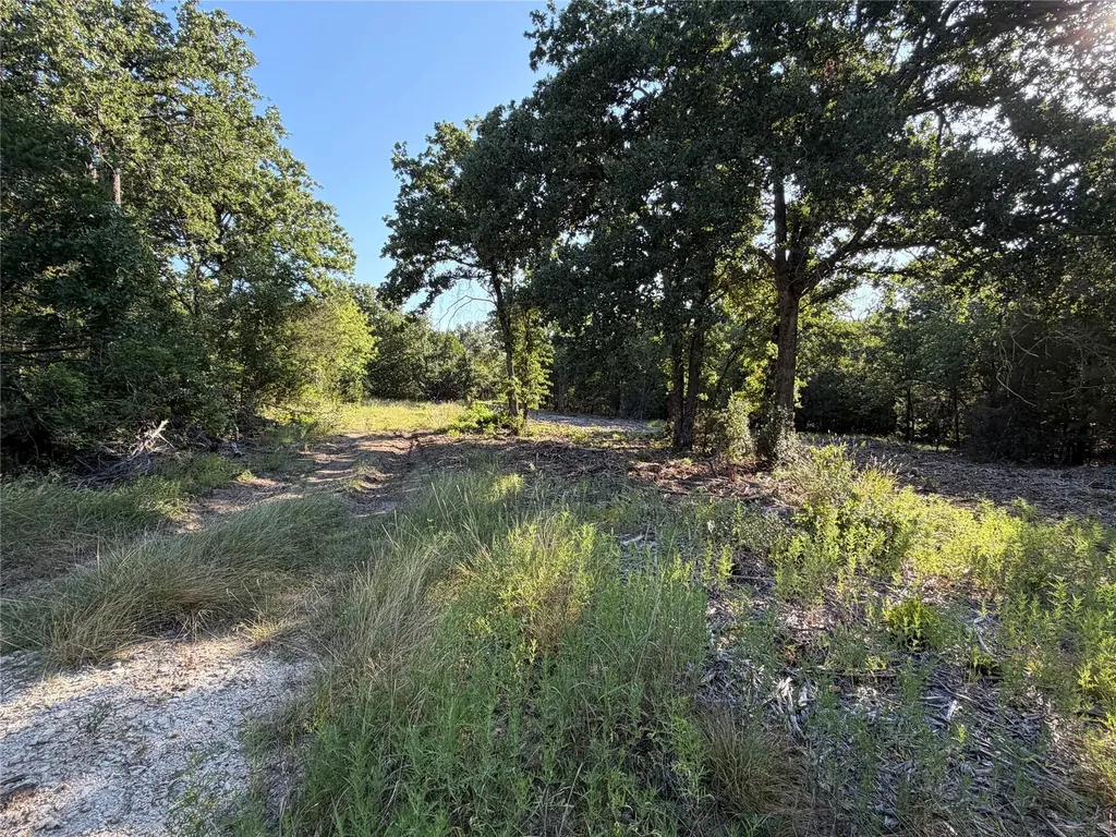 Tbd Fm 56 Morgan TX 76671