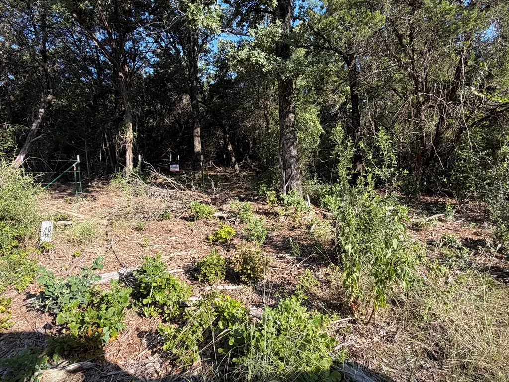 Tbd Fm 56 Morgan TX 76671
