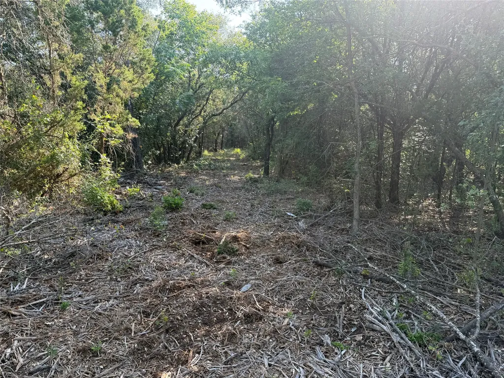Tbd Fm 56 Morgan TX 76671