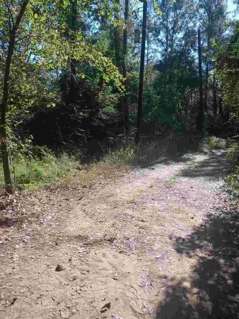24282 Marshburn Drive Magnolia TX 77447