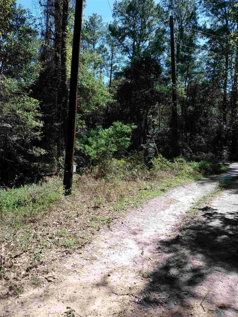 24282 Marshburn Drive Magnolia TX 77447