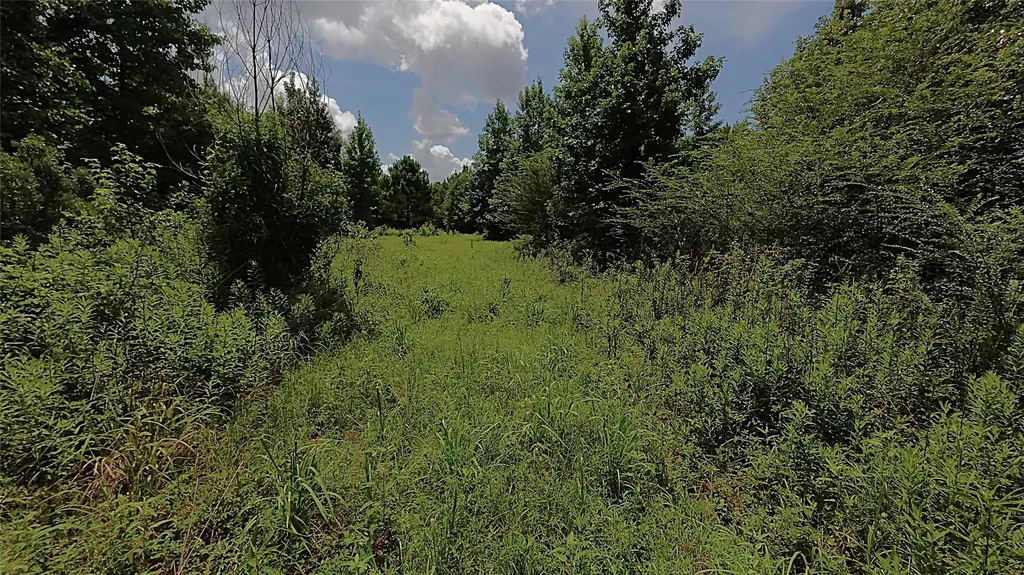 Tbd Cr 1640 Jefferson TX 75657