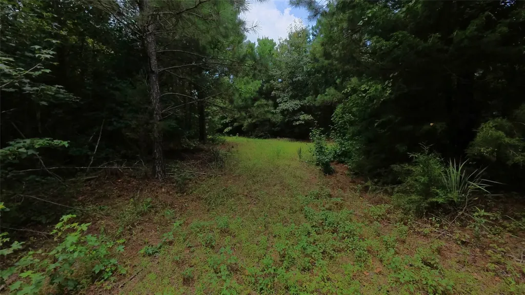 Tbd Cr 1640 Jefferson TX 75657