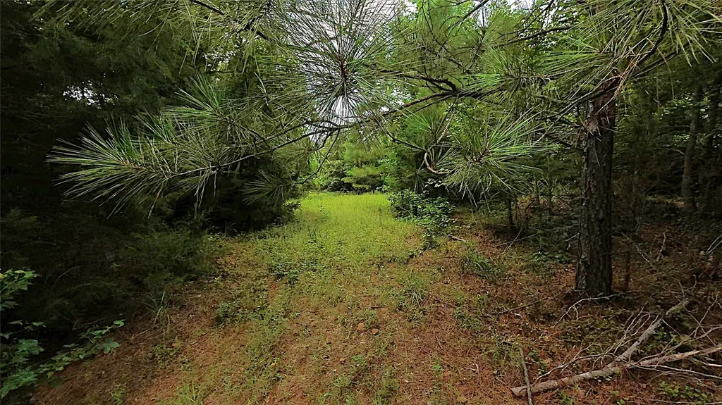 Tbd Cr 1640 Jefferson TX 75657