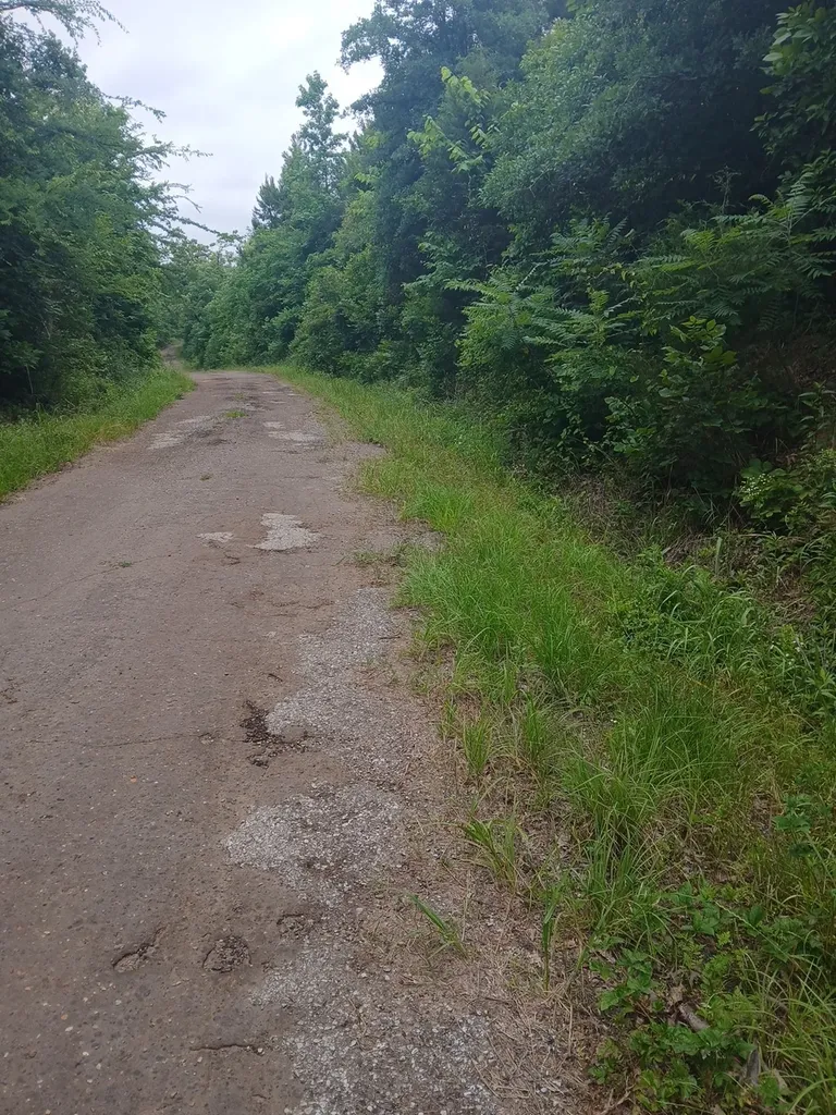 Tbd Cr 1640 Jefferson TX 75657