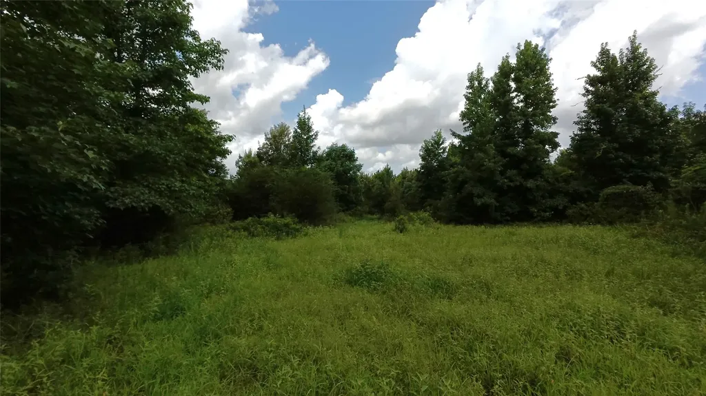 Tbd Cr 1640 Jefferson TX 75657