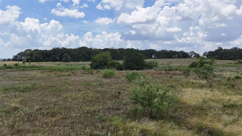 Lot 8 NE County Road 3040 Kerens TX 75144